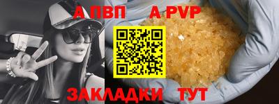 прущие грибы Бердск