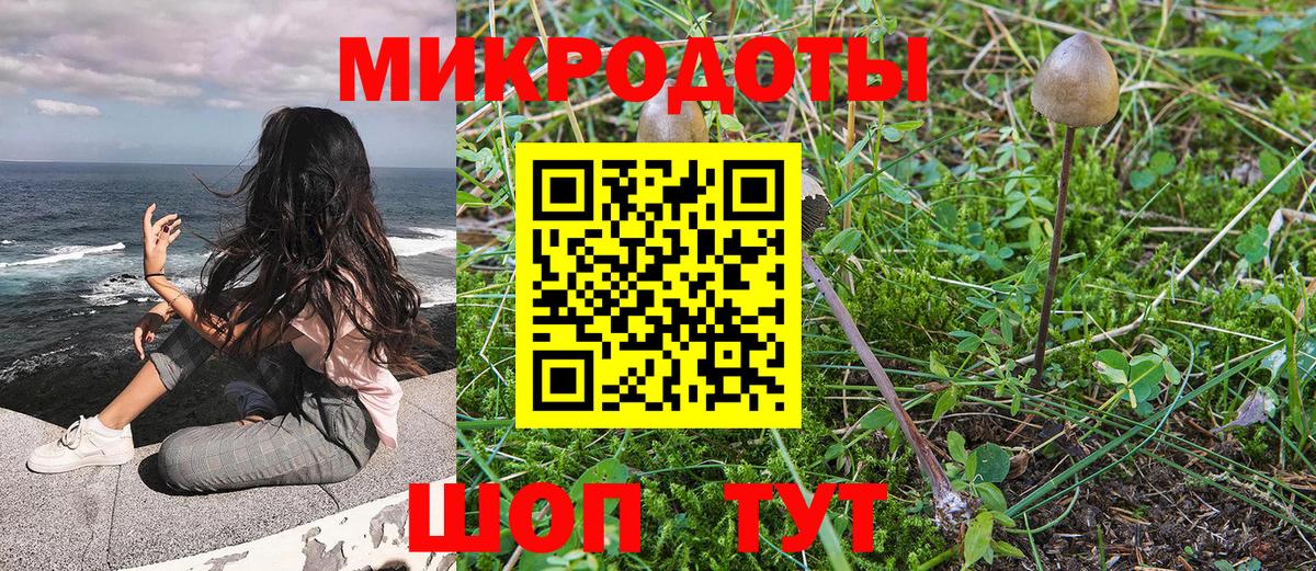 Галлюциногенные грибы прущие грибы  купить наркотик  Великий Устюг  Вход с VPN 