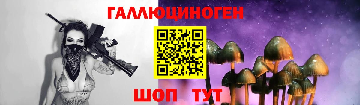Галлюциногенные грибы мицелий Великий Устюг